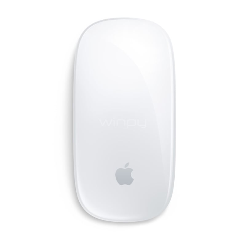 Apple Magic Mouse (Multi-Touch, Surface, USB-C, Blanco)
