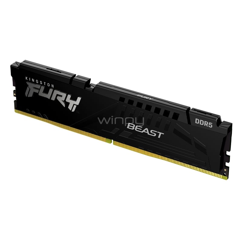 Kit Memoria RAM Kingston FURY Beast de 64GB (2 x 32GB, DDR5, 6000MHz, CL30, EXPO, DIMM)