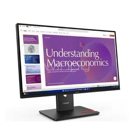 Monitor Lenovo ThinkVision T24d-40 de 24” (IPS, Full HD, 120Hz, USB-C/HDMI, VESA)