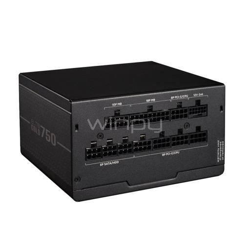 Fuente de Poder Cooler Master Elite Gold de 750W (ATX, 80+ Gold, Full Modular)