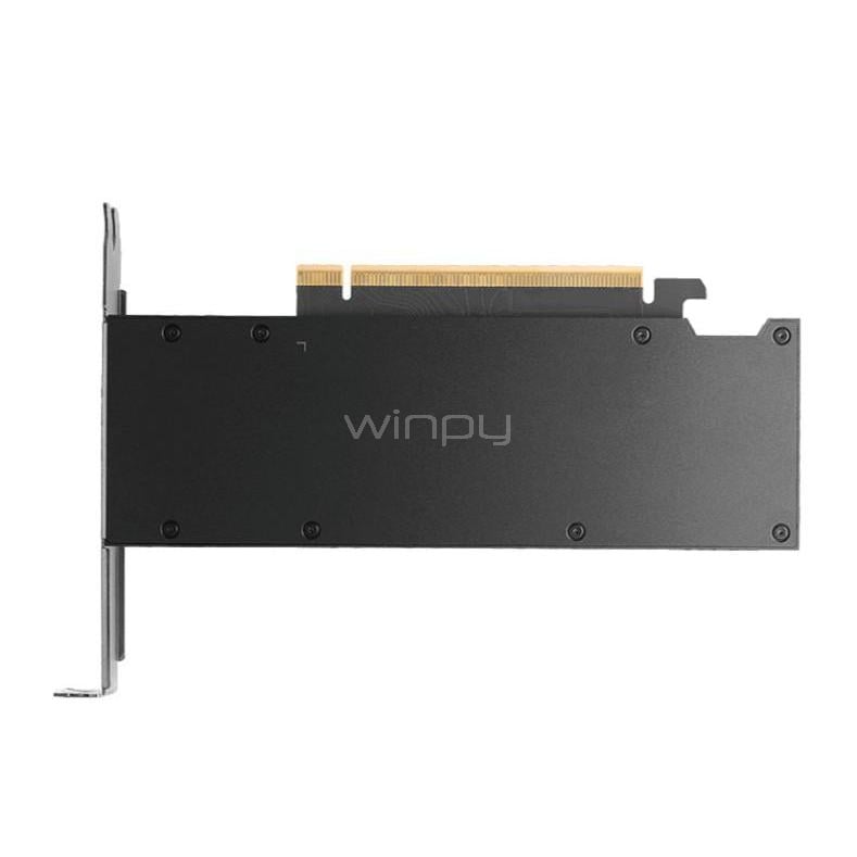 Tarjeta gráfica PNY NVIDIA RTX PRO 2000 Blackwell de 16GB GDDR7