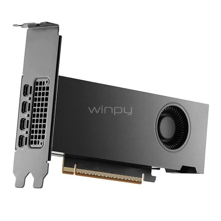 Tarjeta gráfica PNY NVIDIA RTX PRO 2000 Blackwell de 16GB GDDR7