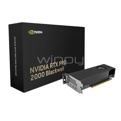 Tarjeta gráfica PNY NVIDIA RTX PRO 2000 Blackwell de 16GB GDDR7
