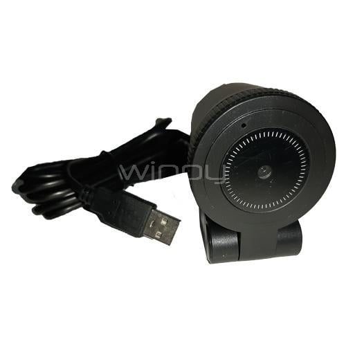 Webcam Profesional C180 (4K UHD, 30fps, Micrófono, USB, Negro)