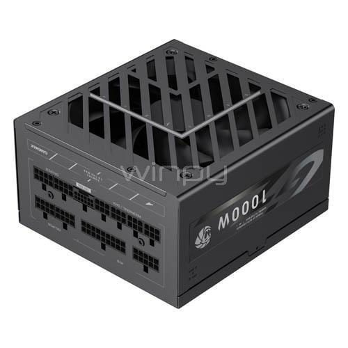 Fuente de Poder GameMax GZ 1000G de 1000W (Certificada 80+ Gold, ATX)