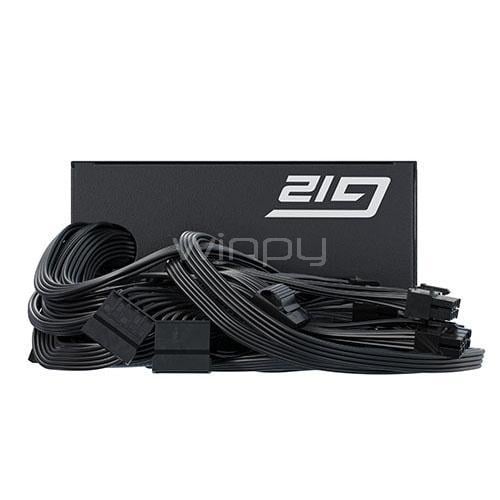Fuente de Poder Seasonic G12 GC-750 de 750W (Certificada 80+ Gold, ATX)