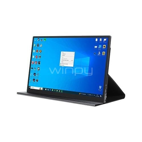Monitor Portátil Clio Pro-Display de 16.1” (Full HD, USB-C+miniHDMI, VESA)