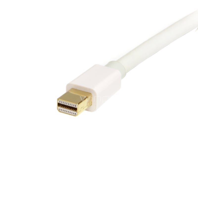 Cable Adaptador de 2m de Monitor Mini DisplayPort 1.2 Macho a DP Macho - 4k Blanco - StarTech