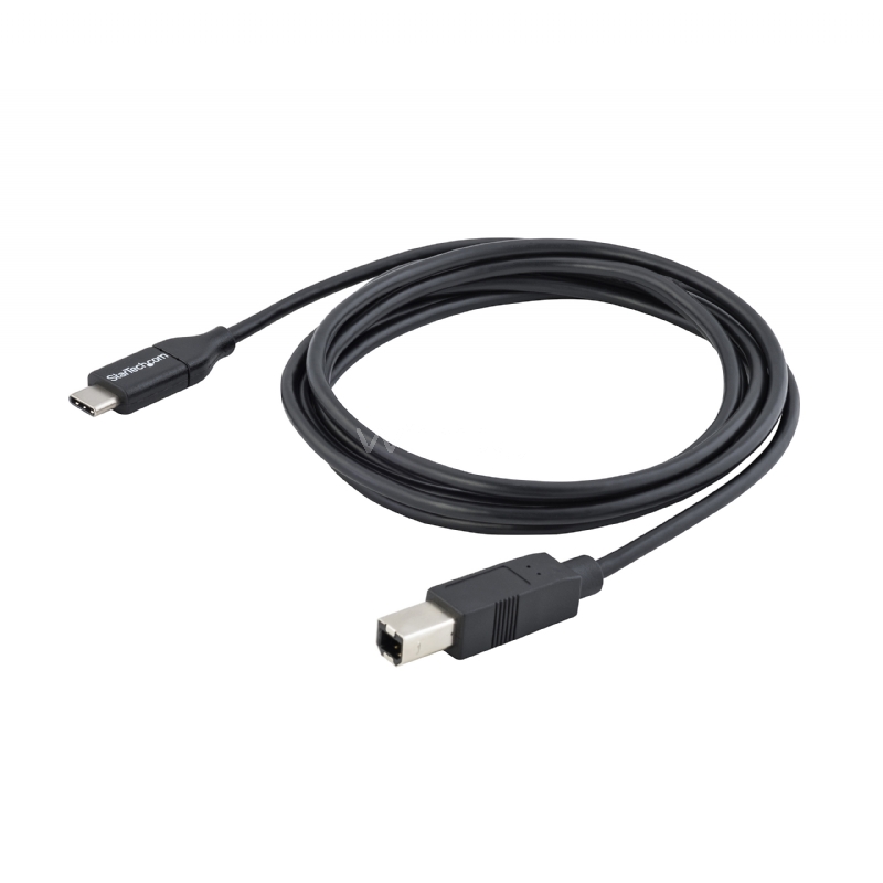 Cable de 2m USB-C a USB B Macho a Macho - Cable USB Tipo C a USB B USB 2.0 - StarTech
