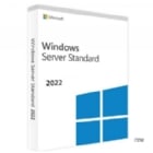 Licencia Microsoft Windows Server 2022 OEM (DVD, 64-bit, Español)