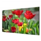 Pantalla Comercial Hikvision DS-D2055UL de 55“ (Full HD, DP+HDMI+DVI+VGA, VESA)
