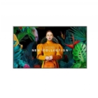 Pantalla Profesional Samsung QBC de 43” (VA, 4K UHD, HDMI+USB+RJ45, Tizen 7.0)