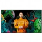 Pantalla Profesional Samsung LH50QMC de 50” (VA, 4K UHD, 60Hz, HDMI+USB, VESA)