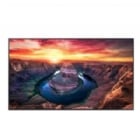 Pantalla Profesional Samsung QM75C de 75” (VA, 4K UHD, 60Hz, DP+HDMI+USB, Wi-Fi/Bluetooth, VESA)