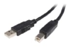 Cable USB de 2m para Impresora - USB A Macho a USB B Macho - Adaptador Negro - StarTech