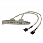 Adaptador de Placa  USB A Hembra de 2 puertos  - StarTech