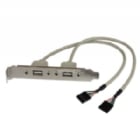 Adaptador de Placa USB A Hembra de 2 puertos - StarTech