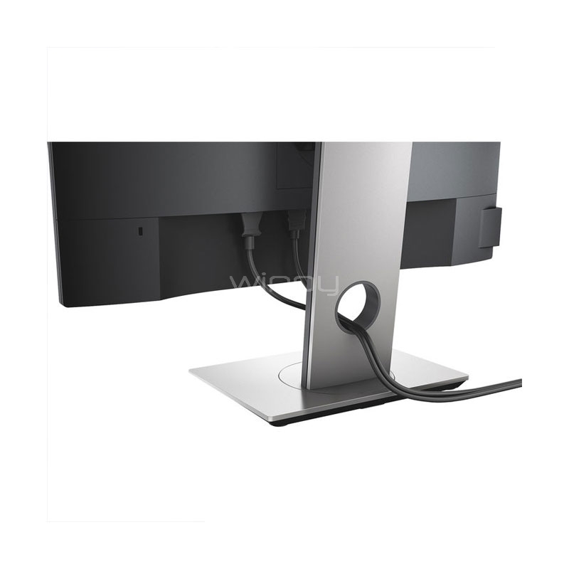 Monitor profesional Dell P2317H de 23 Pulgadas (IPS, FullHD, VGA +