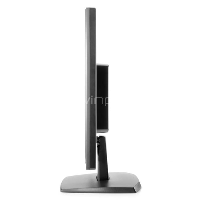 Monitor HP V202 LED - 19,45 ( visible) 1600 x 900