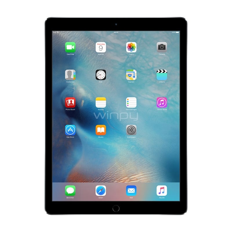 iPad Pro 12,9 Apple (Wi-Fi, 256GB, Space Grey) | ML0T2CI/A