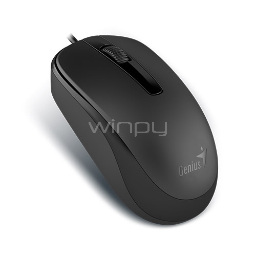 Mouse Genius DX-120 (USB, 1000DPI, Negro)