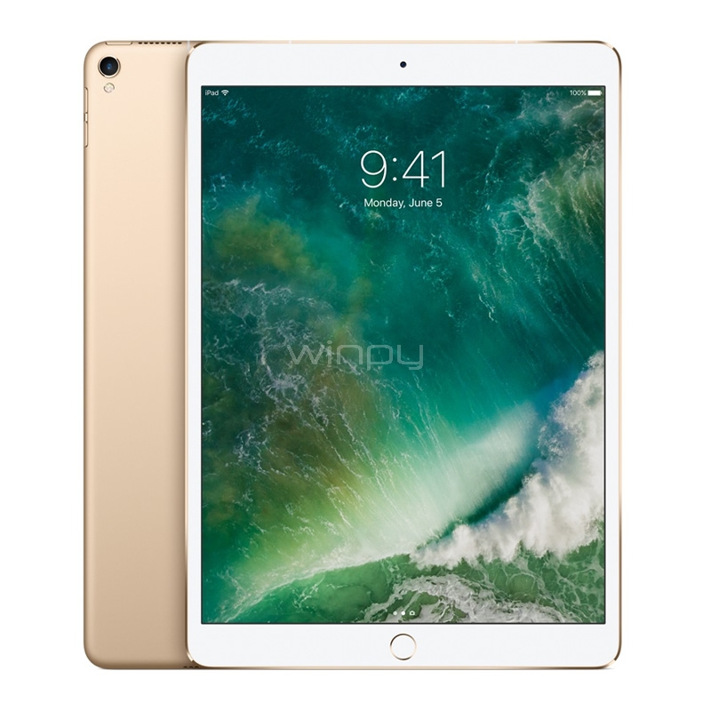 iPad Pro Apple (Wi-Fi + Cellular, 256GB, Gold)