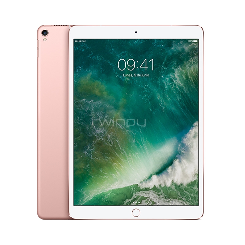 iPad Pro Apple (Wi-Fi + Cellular, 256GB, Rose Gold)