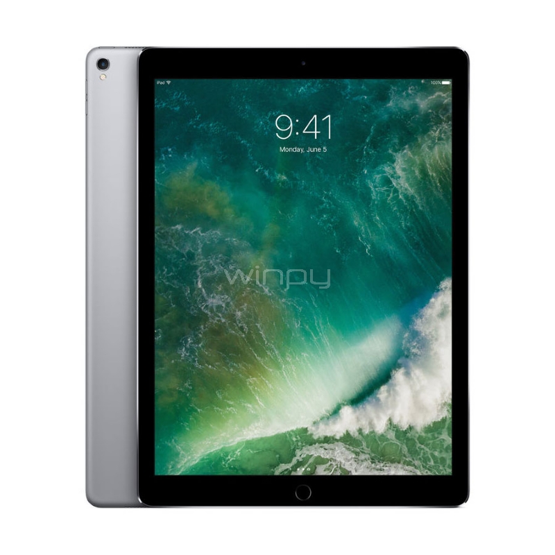 iPad Pro 10,5 Apple (Wi-Fi + Cellular , 64GB, Space Gray, MQEY2CI/A )