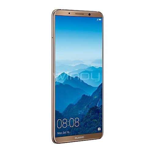 Celular Huawei Mate 10 Pro (LTE, 4GB RAM, 64GB, Fullview 6,0 FHD+, Android 8, Mocha Brown)