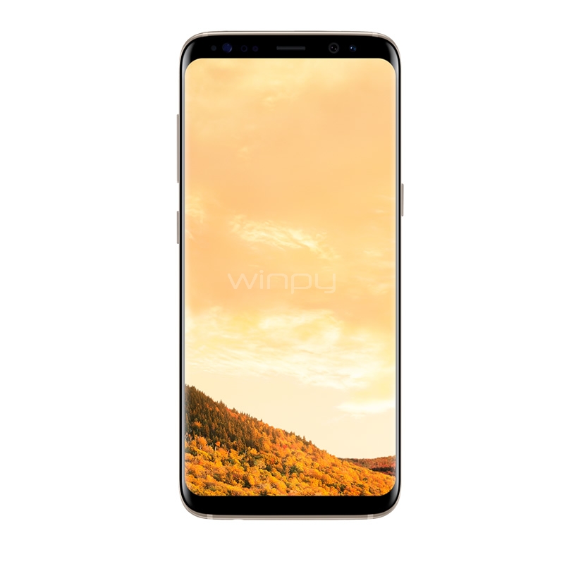 Smartphone Samsung Galaxy S8 (Octa Core, 4GB RAM, 64GB Interno, Amoled 5,8, 3000mAh, Android 6,0, Dorado)