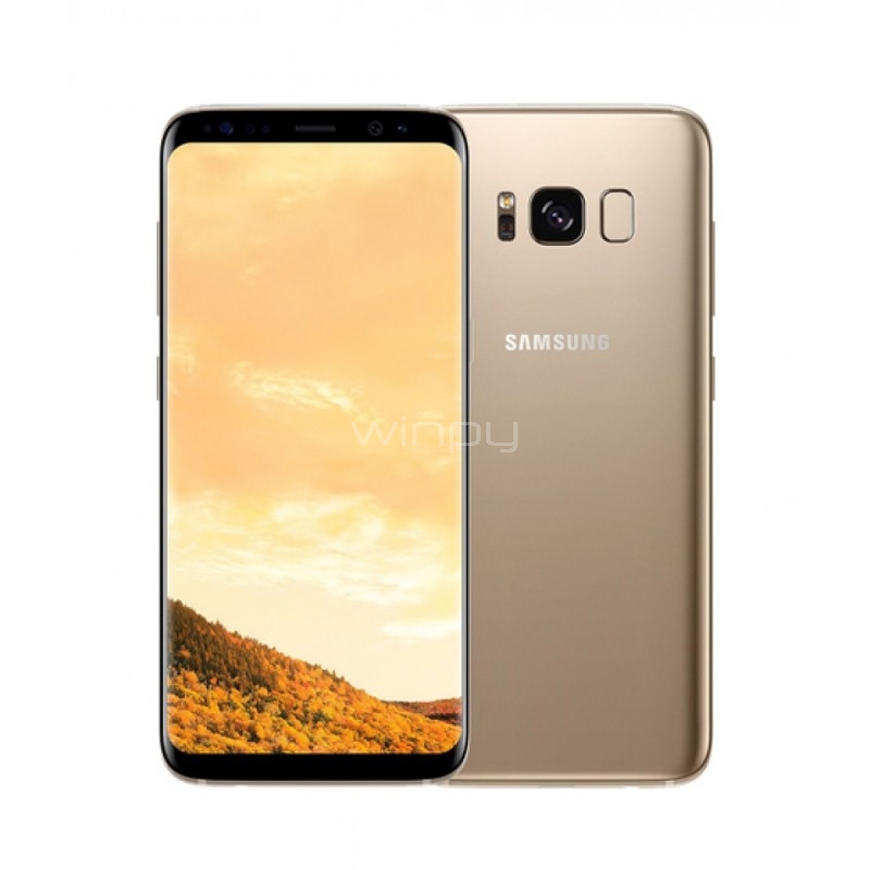 Smartphone Samsung Galaxy S8 (Octa Core, 4GB RAM, 64GB Interno
