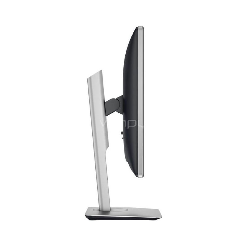Monitor Dell P1914SF de 19 pulgadas - P1914S - Winpy.cl