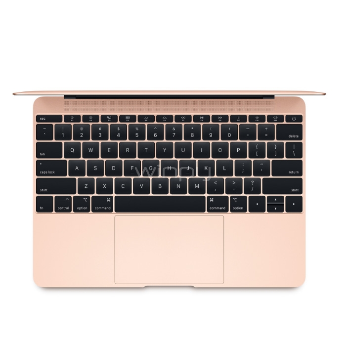 MacBook 12 pulg (Intel Core m3 1.2GHz, 8GB Ram, 256GB, Gold)