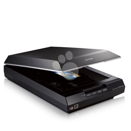 Escáner Epson Perfection V550